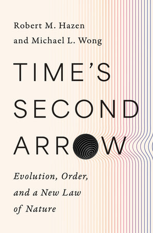 Time's Second Arrow