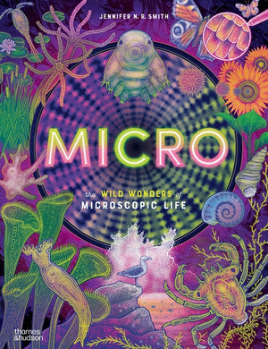 Micro