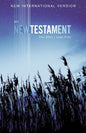 NIV, Outreach New Testament, Large Print, Paperback (Special)
