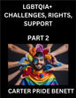LGBTQIA+ Challenges, Rights, Support (Volume 2)- The Unseen Struggles, Pride and Triumphs of the LGBTQ Community, Navigating Identity, Romance, Love,