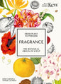 Fragrance: From Plant to Perfume, the Botanical Origins of Scent