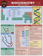 Biochemistry: A Quickstudy Laminated Reference Guide (First Edition, New Edition, Updated & Revised)