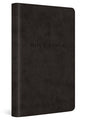 ESV Premium Church Bible, Large Print, Red Letter (Trutone, Black)