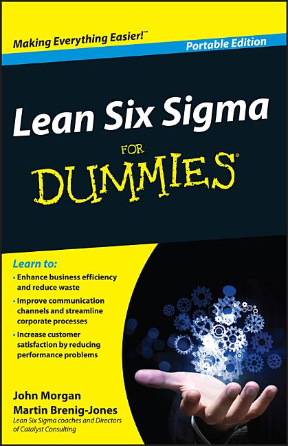 Lean Six Sigma For Dummies (Whs Travel)