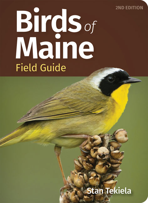 Birds of Maine Field Guide (Revised)