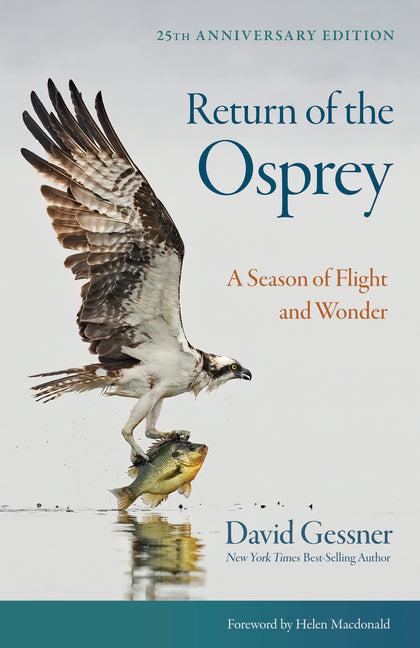 Return of the Osprey: A Season of Flight and Wonder (Anniversary)