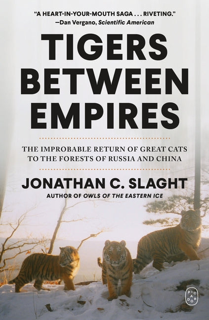 Tigers Between Empires: The Improbable Return of Great Cats to the Forests of Russia and China