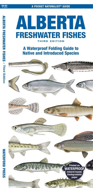 Alberta Freshwater Fishes: A Folding Pocket Guide to Native and Introduced Species