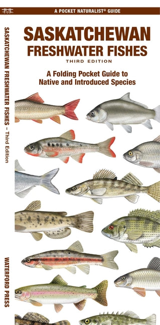 Saskatchewan Freshwater Fishes: A Folding Pocket Guide to Native and Introduced Species