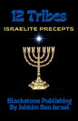12 Tribes: Israelite Precepts
