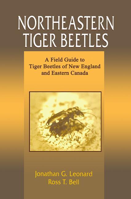 Northeastern Tiger Beetles: A Field Guide to Tiger Beetles of New England and Eastern Canada