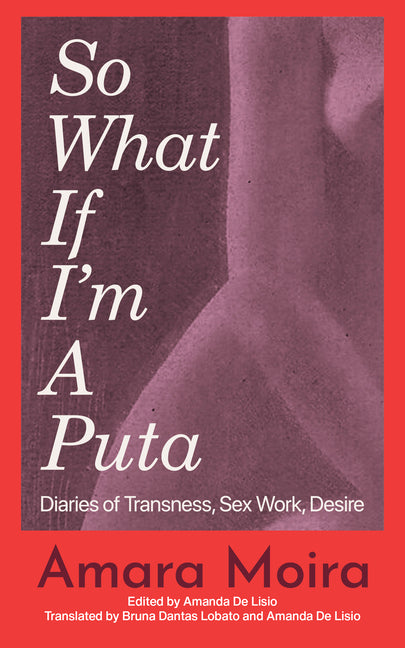 (So What) If I'm a Puta?: Diaries of Transness, Sex Work, Desire