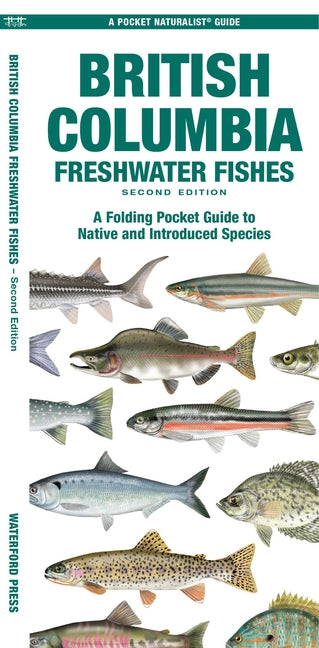 British Columbia Freshwater Fishes: A Folding Pocket Guide to Native and Introduced Species