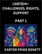 LGBTQIA+ Challenges, Rights, Support (Volume 1)- The Unseen Struggles, Pride and Triumphs of the LGBTQ Community, Navigating Identity, Romance, Love,