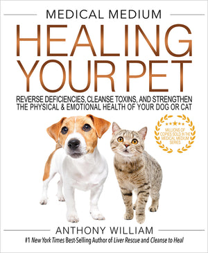 Medical Medium Healing Your Pet