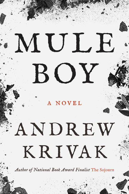 Mule Boy