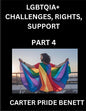 LGBTQIA+ Challenges, Rights, Support (Volume 4)- The Unseen Struggles, Pride and Triumphs of the LGBTQ Community, Navigating Identity, Romance, Love,