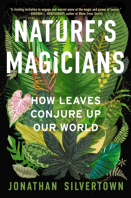 Nature's Magicians: How Leaves Conjure Up Our World