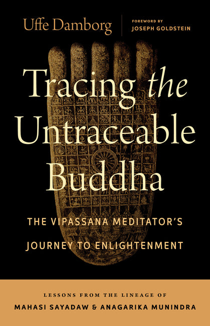 Tracing the Untraceable Buddha: The Vipassana Meditator's Journey to Enlightenment