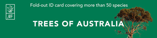 Trees of Australia: Fold-Out Id Card Covering More Than 50 Species